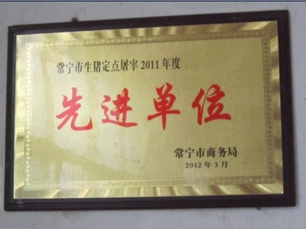 先进单位