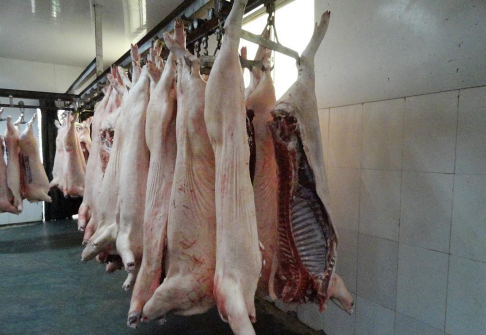 白条肉