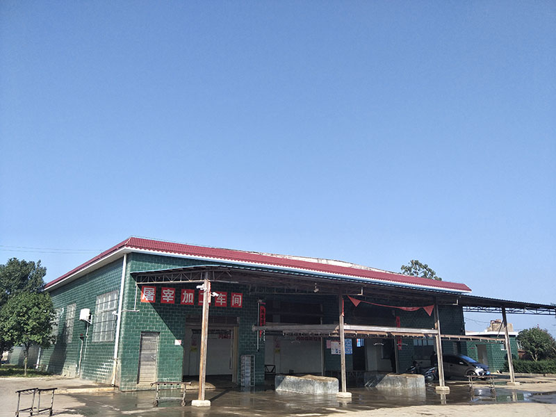 环境展示