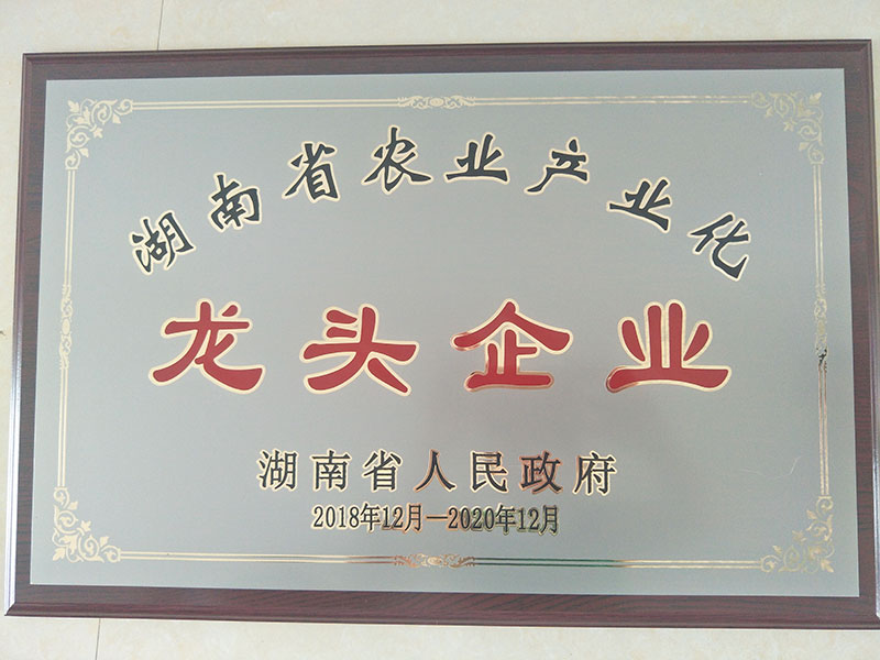龙头企业